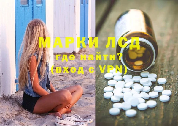 стаф Арсеньев