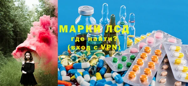 стаф Арсеньев