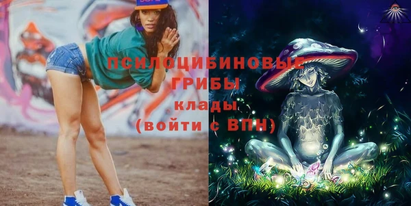 стаф Арсеньев