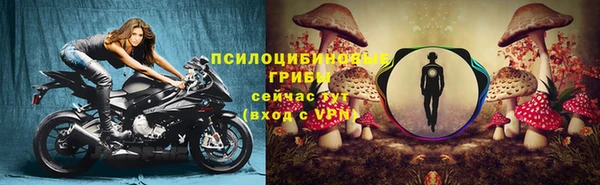 стаф Арсеньев