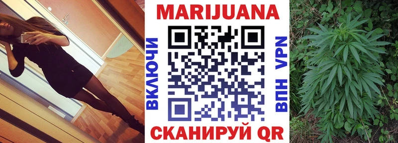 купить наркоту  Белозерск  Канабис сатива 